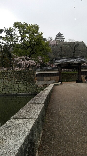 f:id:ka-ruto:20160404214505j:image f:id:ka-ruto:20160404214505j:image