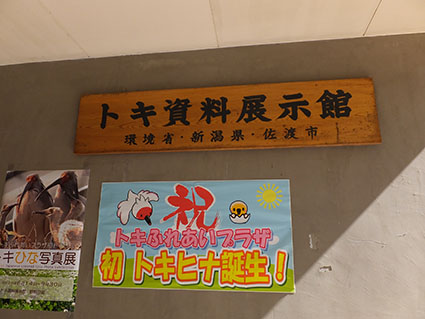 f:id:kabakabatamanegi:20141015033835j:plain