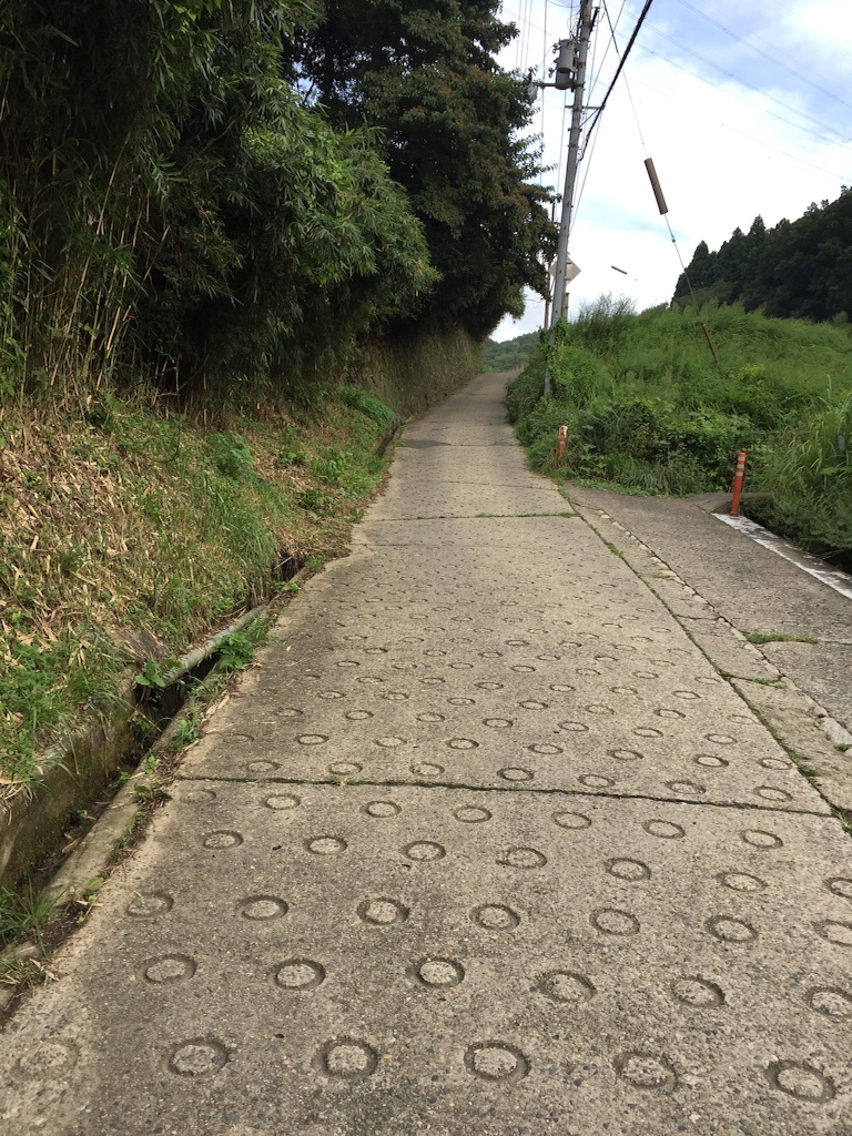f:id:kabunotabi:20150825010518j:image f:id:kabunotabi:20150825010518j:image