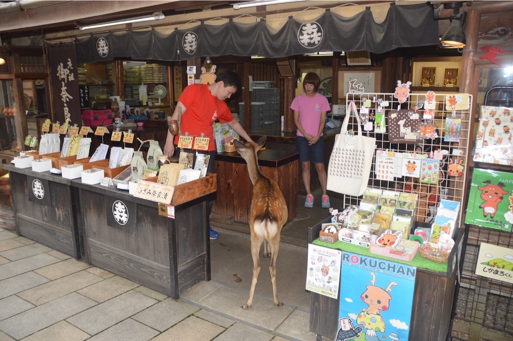 f:id:kabunotabi:20150825012159j:image f:id:kabunotabi:20150825012159j:image