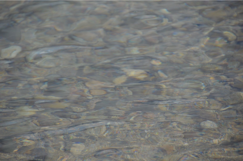 f:id:kabunotabi:20150825102743j:image f:id:kabunotabi:20150825102743j:image