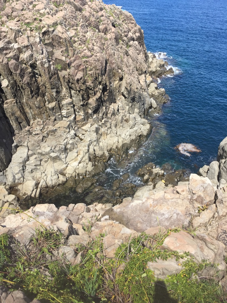 f:id:kabunotabi:20150826082436j:image f:id:kabunotabi:20150826082436j:image