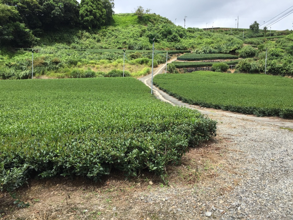 f:id:kabunotabi:20150831134406j:image f:id:kabunotabi:20150831134406j:image