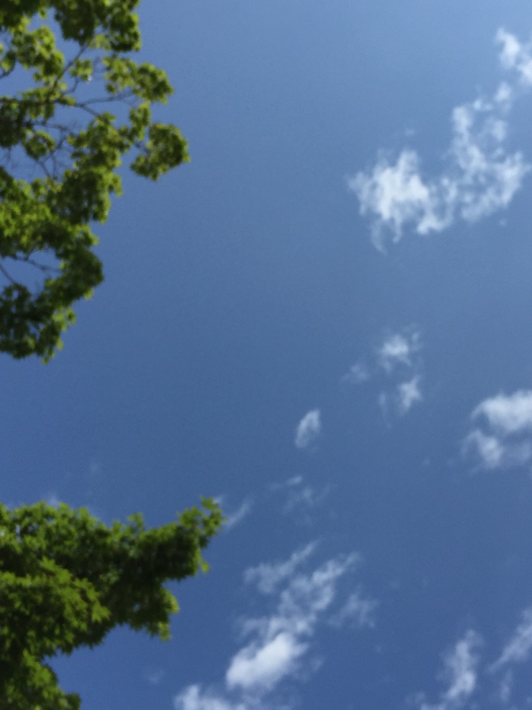 f:id:kabunotabi:20150904005016j:image f:id:kabunotabi:20150904005016j:image