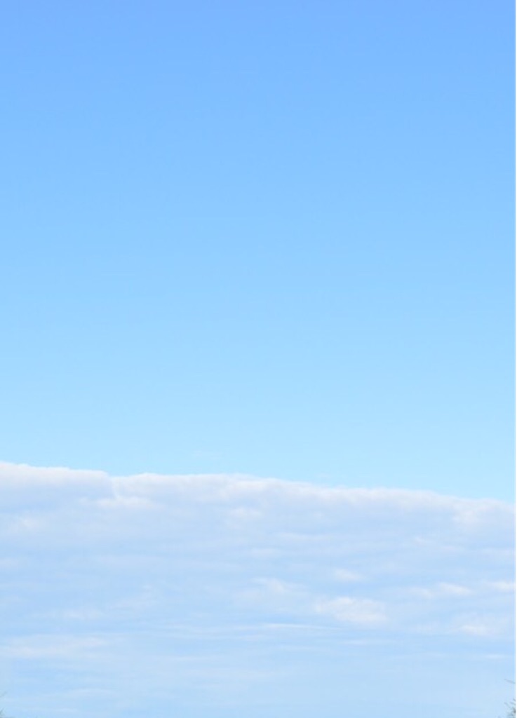 f:id:kabunotabi:20150915155533j:image f:id:kabunotabi:20150915155533j:image