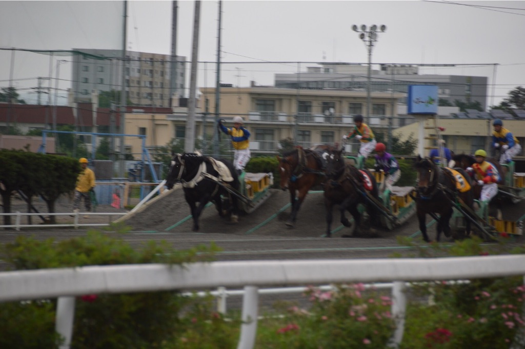 f:id:kabunotabi:20150916215814j:image f:id:kabunotabi:20150916215814j:image