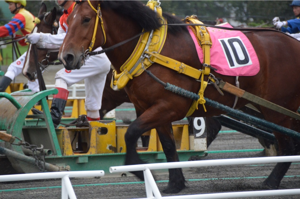 f:id:kabunotabi:20150916225033j:image f:id:kabunotabi:20150916225033j:image