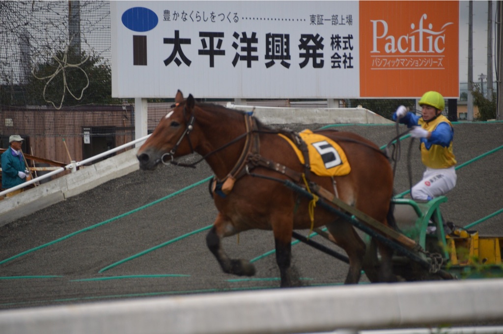 f:id:kabunotabi:20150916225137j:image f:id:kabunotabi:20150916225137j:image