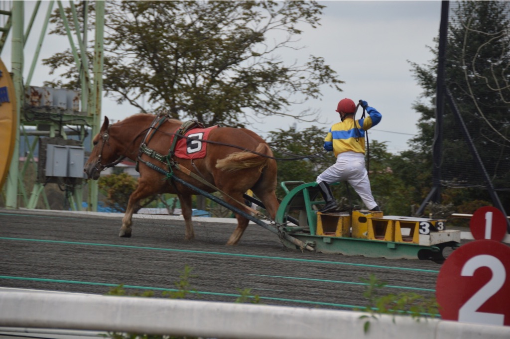 f:id:kabunotabi:20150916225617j:image f:id:kabunotabi:20150916225617j:image