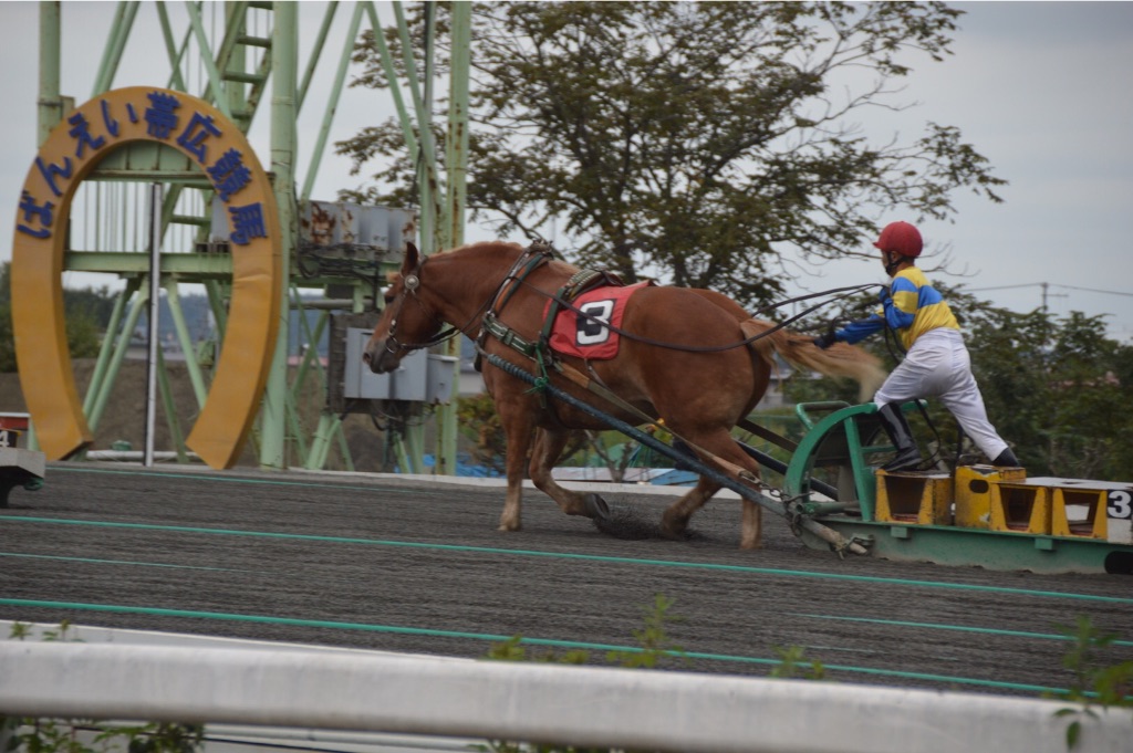 f:id:kabunotabi:20150916225705j:image f:id:kabunotabi:20150916225705j:image