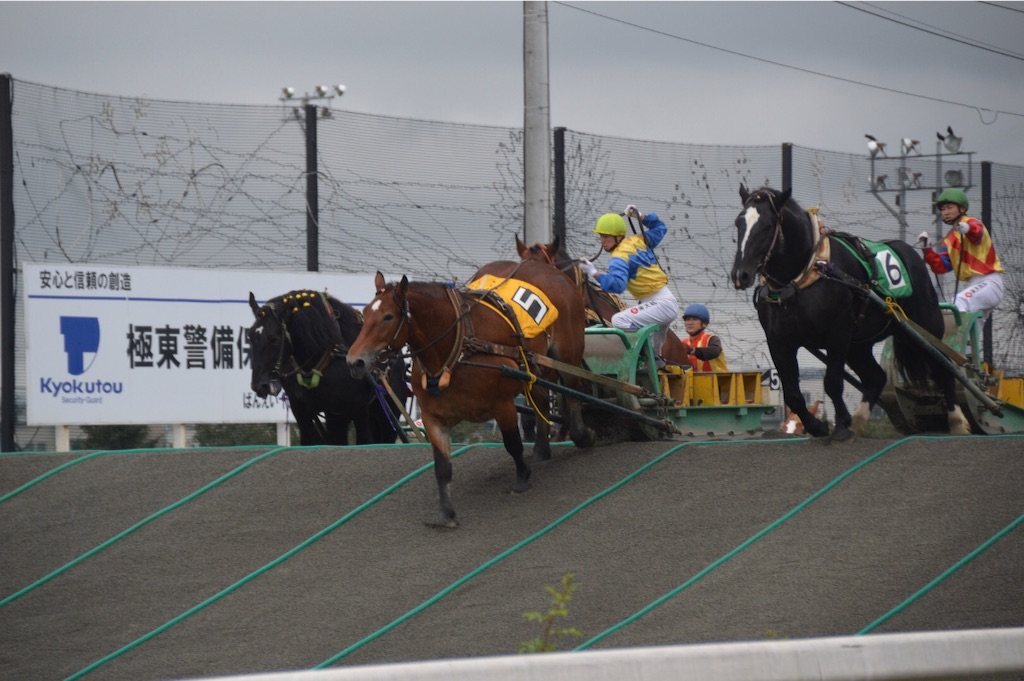f:id:kabunotabi:20150916230343j:image f:id:kabunotabi:20150916230343j:image