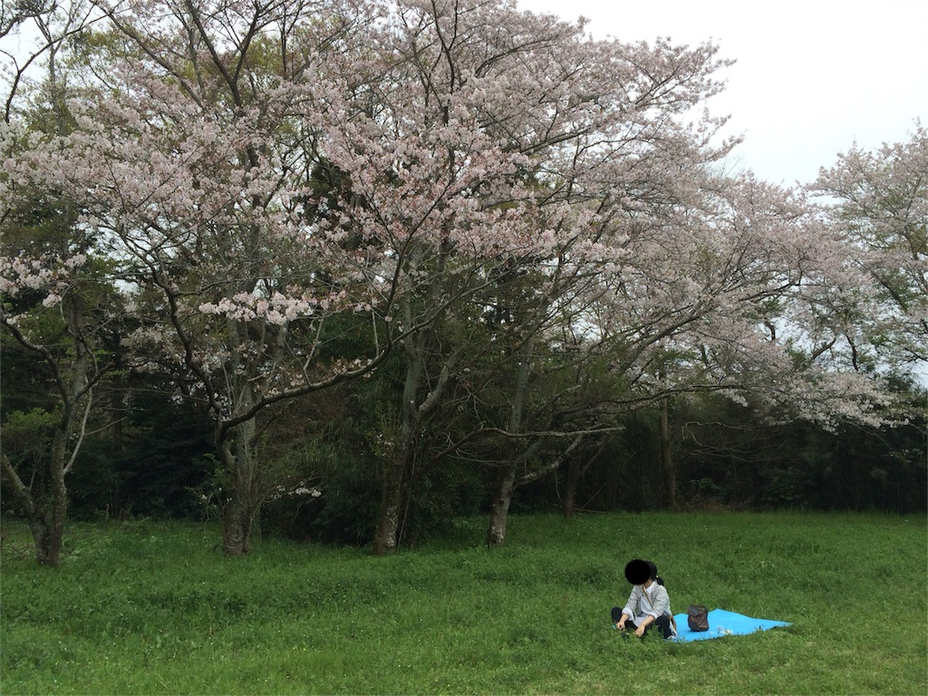 f:id:kaedesun:20160410214148j:image f:id:kaedesun:20160410214148j:image