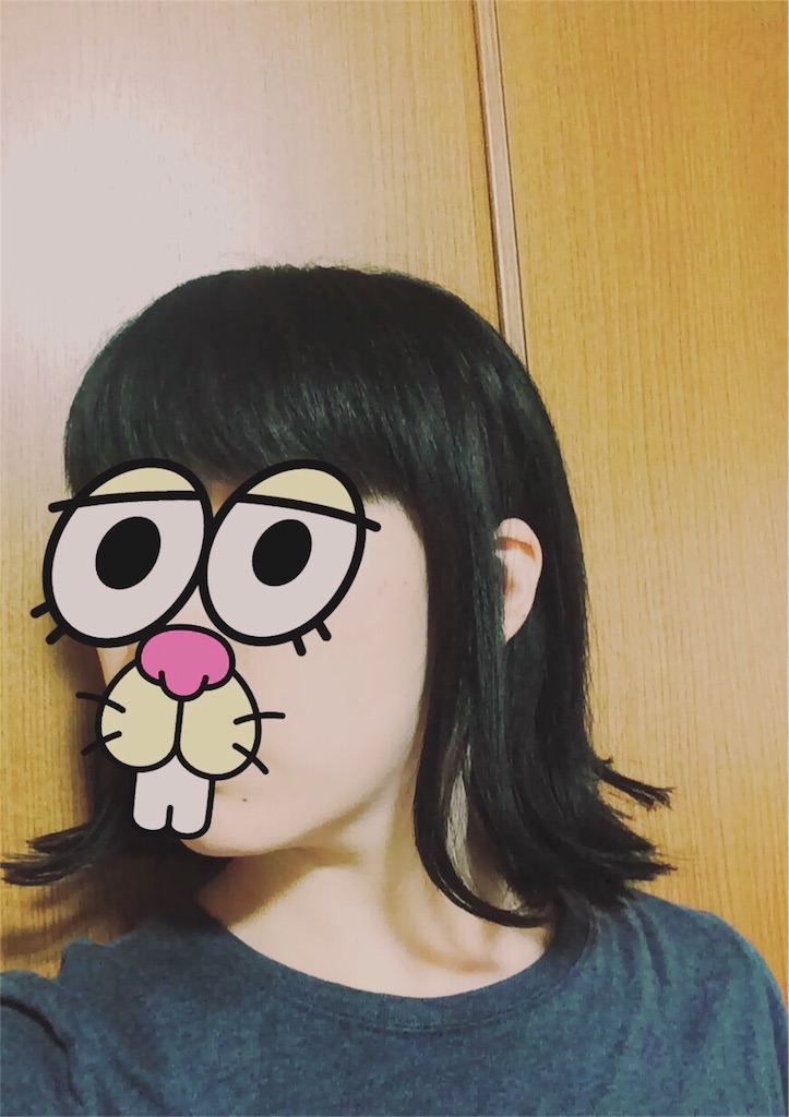 f:id:kaedesun:20160519221812j:image f:id:kaedesun:20160519221812j:image