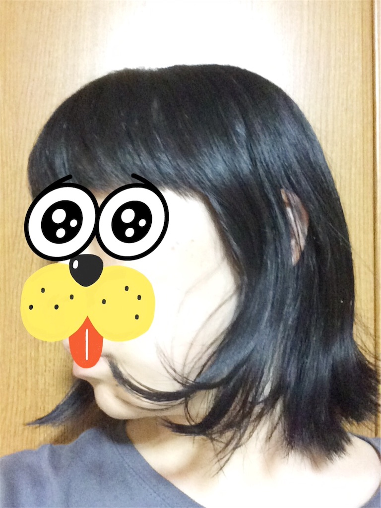 f:id:kaedesun:20160520201925j:image f:id:kaedesun:20160520201925j:image