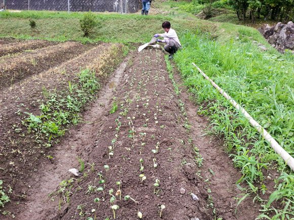 f:id:kaeru-tencho:20150703124834j:plain f:id:kaeru-tencho:20150703124834j:plain