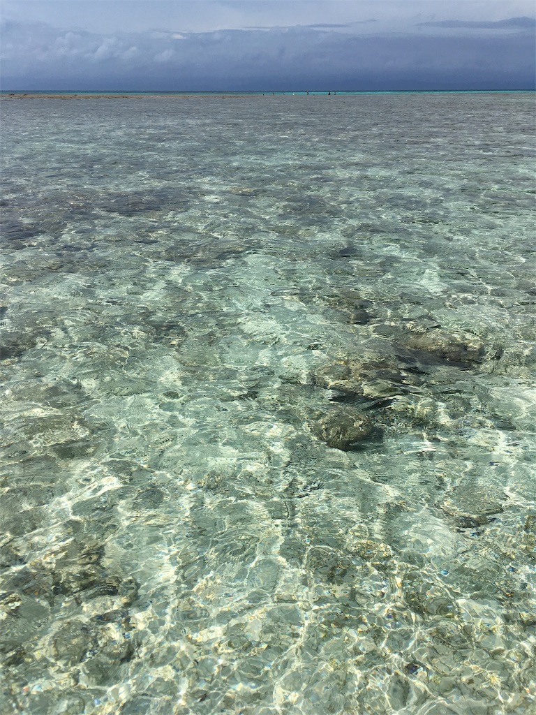 f:id:kaerutai:20160525185835j:image f:id:kaerutai:20160525185835j:image