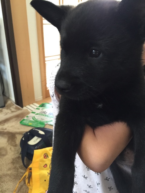 f:id:kai-darling:20150525212352j:image f:id:kai-darling:20150525212352j:image