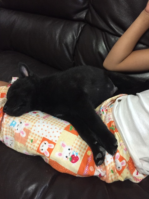 f:id:kai-darling:20150525212534j:image f:id:kai-darling:20150525212534j:image