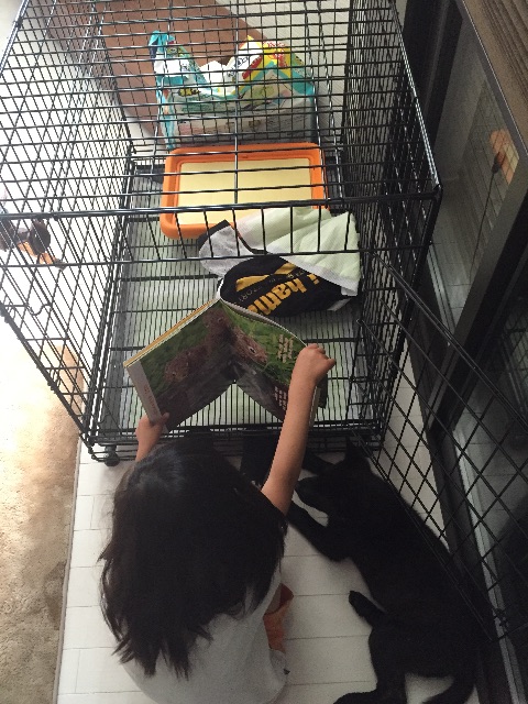 f:id:kai-darling:20150527084035j:image f:id:kai-darling:20150527084035j:image