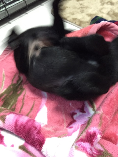 f:id:kai-darling:20150531065543j:image f:id:kai-darling:20150531065543j:image
