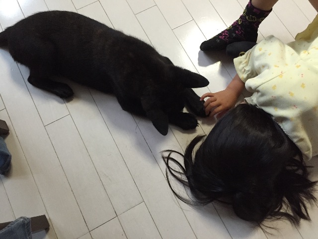 f:id:kai-darling:20150609084831j:image f:id:kai-darling:20150609084831j:image
