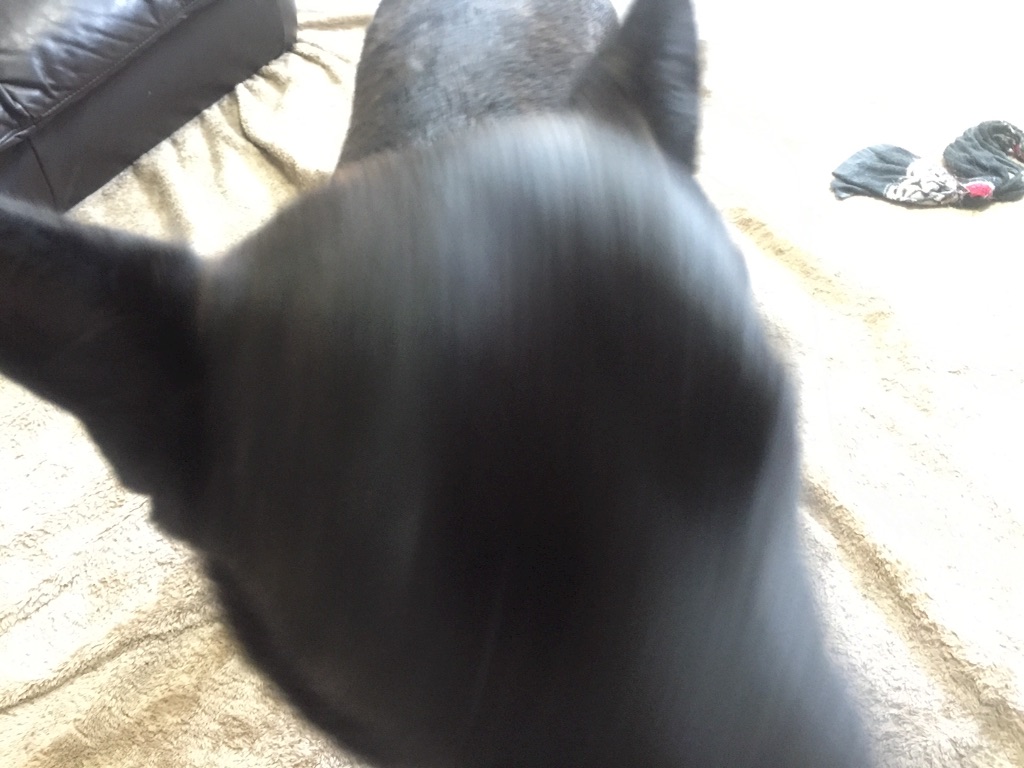 f:id:kai-darling:20150904080749j:image f:id:kai-darling:20150904080749j:image
