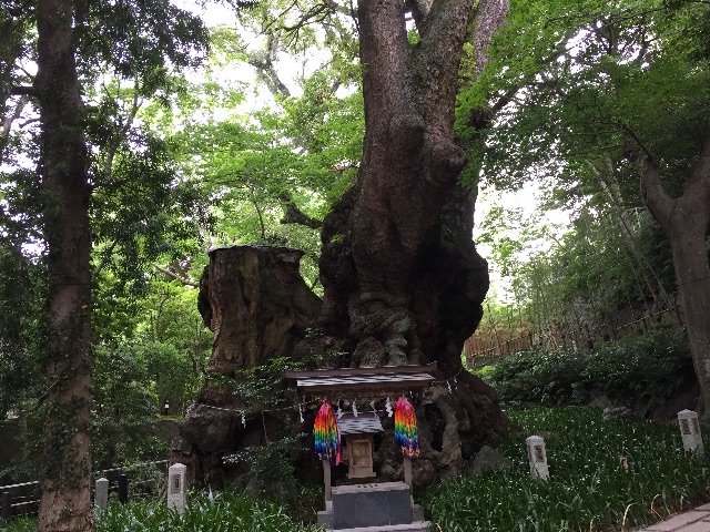 f:id:kaigo-syuhu:20150617025539j:image f:id:kaigo-syuhu:20150617025539j:image