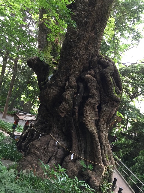 f:id:kaigo-syuhu:20150617025712j:image f:id:kaigo-syuhu:20150617025712j:image