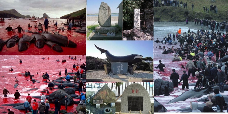 f:id:kaiunmanzoku:20140225135221j:plain f:id:kaiunmanzoku:20140225135221j:plain