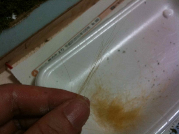f:id:kaizawa2:20110219180718j:image f:id:kaizawa2:20110219180718j:image