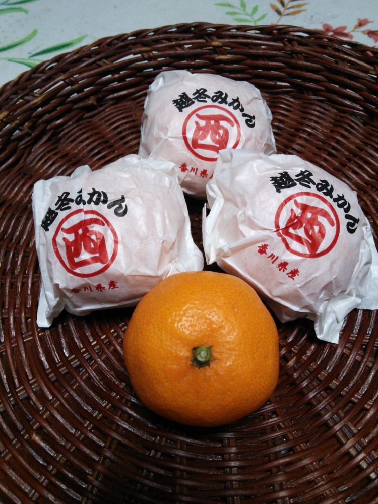 f:id:kakasalon:20150216195757j:plain f:id:kakasalon:20150216195757j:plain
