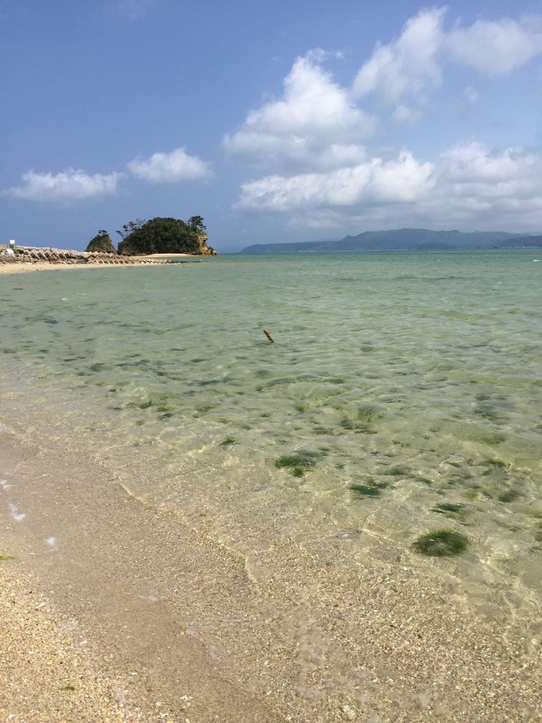 f:id:kakibayashi:20151231163838j:image f:id:kakibayashi:20151231163838j:image
