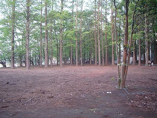 f:id:kakku22:20080501145918j:image