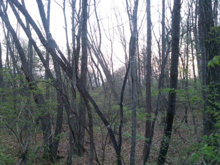 f:id:kakku22:20150430050324j:plain