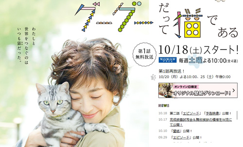 f:id:kakusanx:20141021173249j:plain f:id:kakusanx:20141021173249j:plain