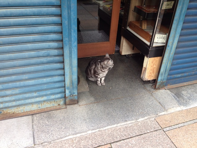 f:id:kakushisetutoshokan:20140324133651j:plain f:id:kakushisetutoshokan:20140324133651j:plain