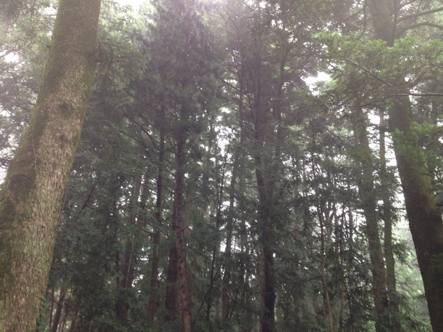 f:id:kakushisetutoshokan:20140327204332j:plain f:id:kakushisetutoshokan:20140327204332j:plain