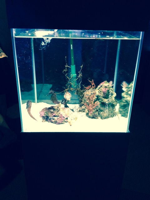 f:id:kakushisetutoshokan:20140712163941j:plain f:id:kakushisetutoshokan:20140712163941j:plain