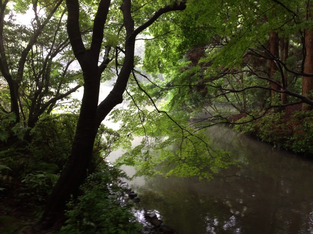 f:id:kakushisetutoshokan:20140716083519j:plain f:id:kakushisetutoshokan:20140716083519j:plain