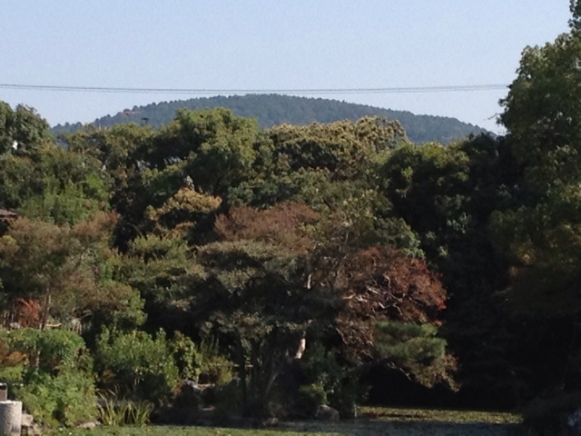 f:id:kakushisetutoshokan:20140901190957j:plain f:id:kakushisetutoshokan:20140901190957j:plain
