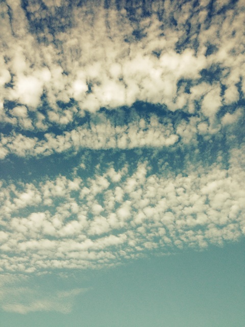 f:id:kakushisetutoshokan:20140921005255j:plain f:id:kakushisetutoshokan:20140921005255j:plain