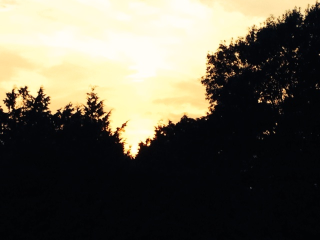 f:id:kakushisetutoshokan:20140923011051j:plain f:id:kakushisetutoshokan:20140923011051j:plain