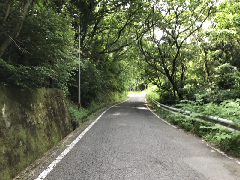 f:id:kamei2910:20170602103151j:image f:id:kamei2910:20170602103151j:image