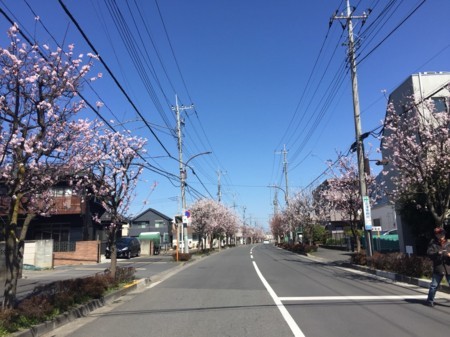 f:id:kamezo:20180317152059j:image