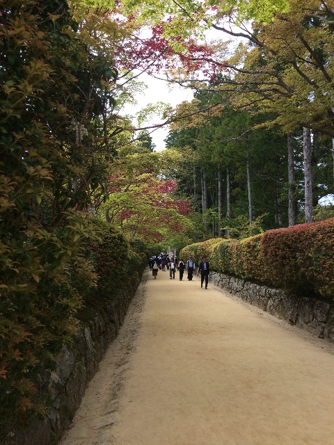 f:id:kamibutsuyoku:20150502084059j:image f:id:kamibutsuyoku:20150502084059j:image