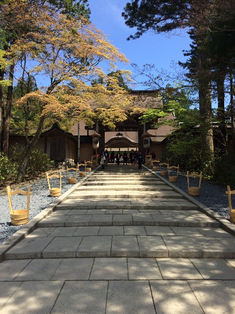 f:id:kamibutsuyoku:20150502085118j:image f:id:kamibutsuyoku:20150502085118j:image