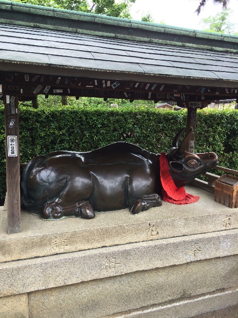 f:id:kamibutsuyoku:20150518121055j:image f:id:kamibutsuyoku:20150518121055j:image