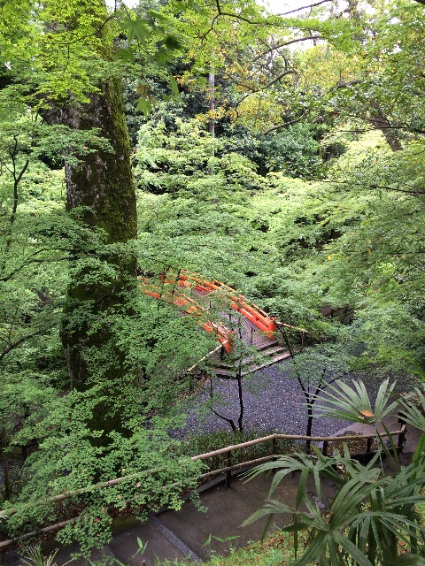 f:id:kamibutsuyoku:20150518123329j:image f:id:kamibutsuyoku:20150518123329j:image