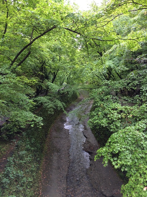 f:id:kamibutsuyoku:20150518123357j:image f:id:kamibutsuyoku:20150518123357j:image