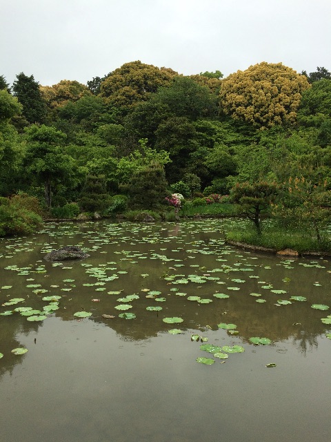 f:id:kamibutsuyoku:20150520205727j:image f:id:kamibutsuyoku:20150520205727j:image